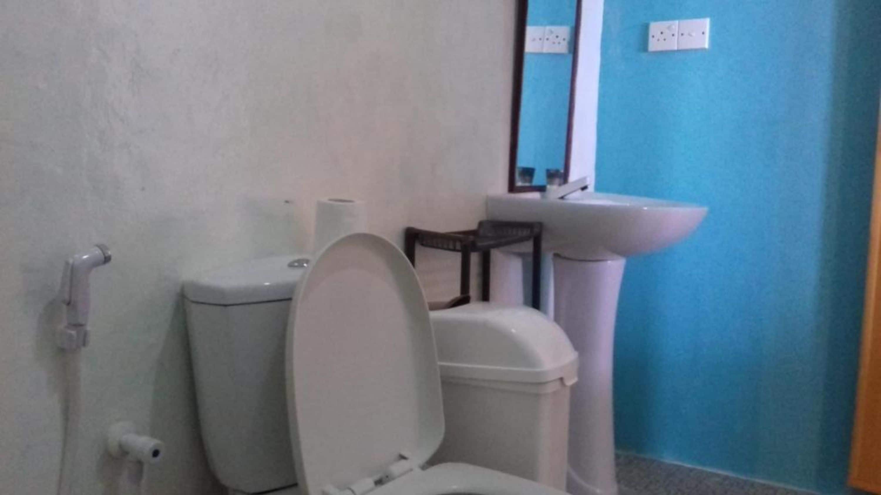 A bathroom with a toilet, a sink, and a mirror.