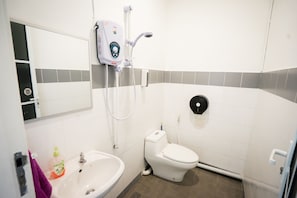 Shower, free toiletries, hair dryer, bidet