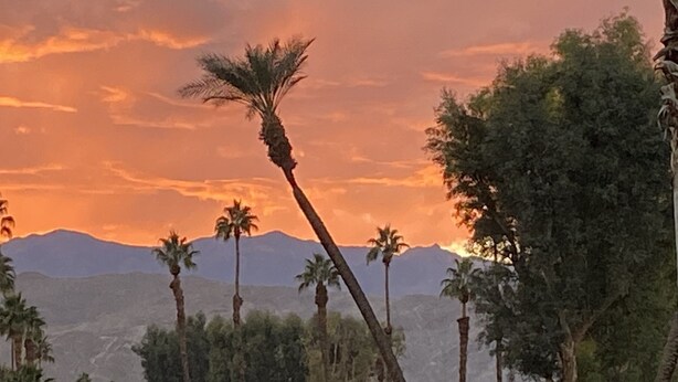 A golf course with palm trees and a mountain range in the background. - Spectacular, South Facing, 4 golf cart, upgraded 2 kings+den with queen  bed. (palm desert)