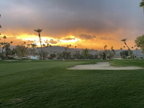 Golf - Spectacular, South Facing, 4 golf cart, upgraded 2 kings+den with queen bed. (palm desert)