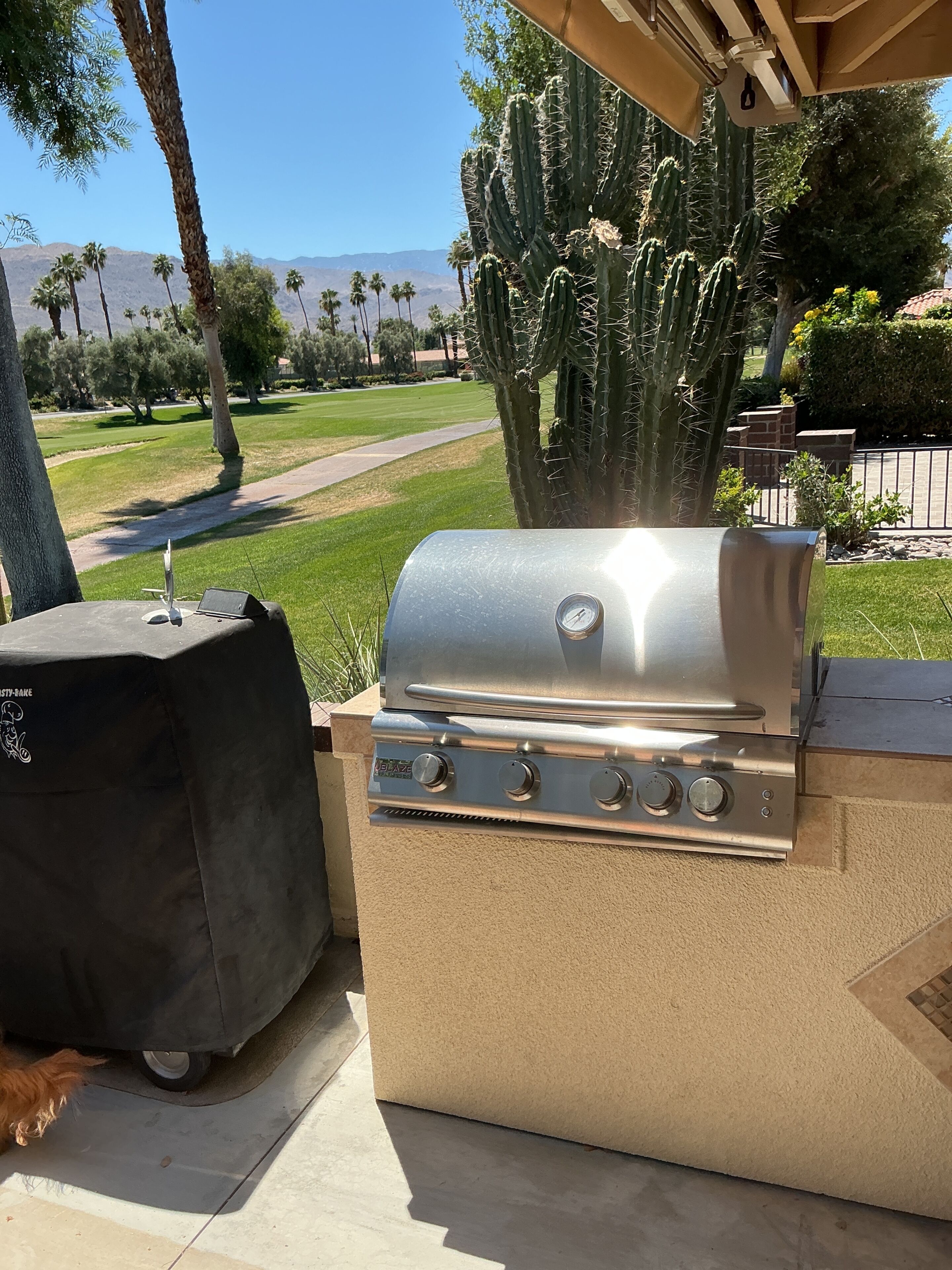 An outdoor grill with controls, a covered storage unit, and a clear view of a landscaped area with trees and a distant mountain range.