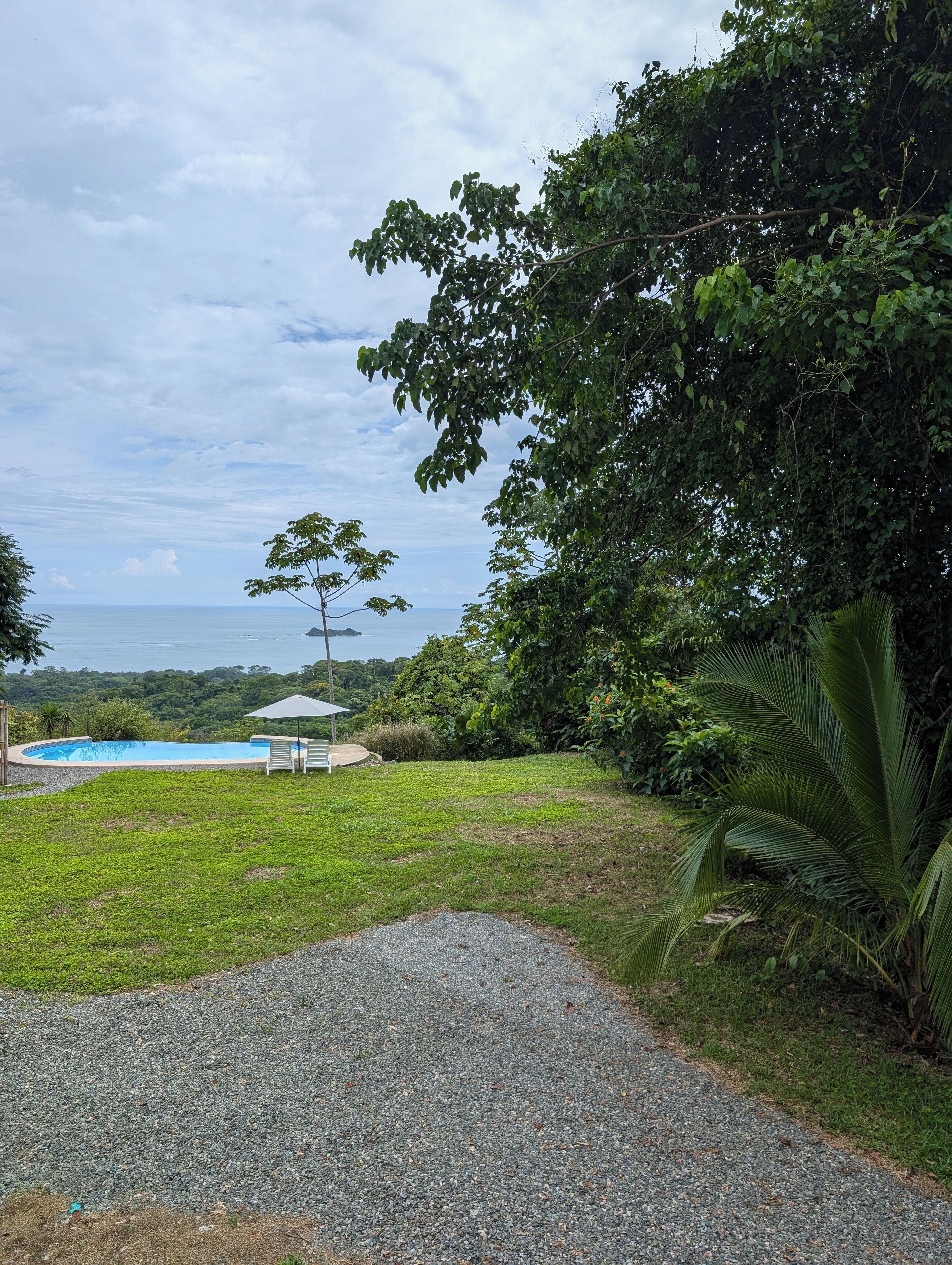 Outdoor pool, an infinity pool, pool umbrellas
