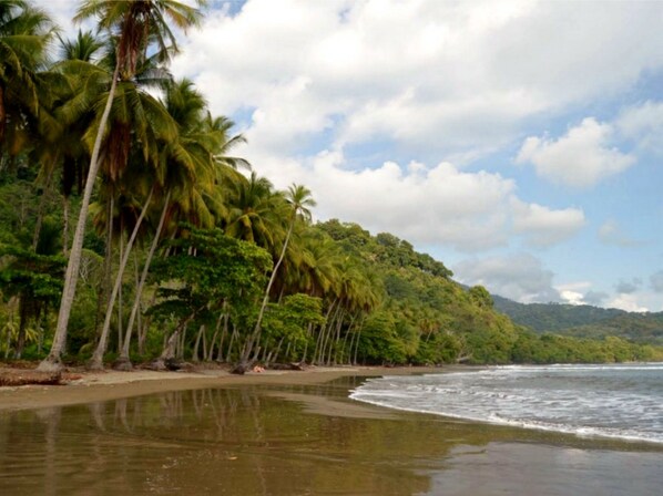 Beach nearby, sun-loungers, beach towels