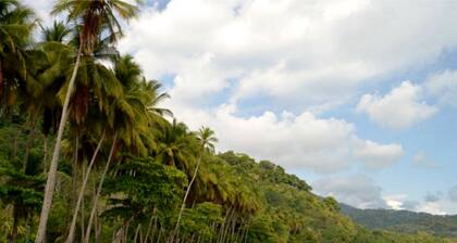 Casa Arabella - Panoramic Ocean and Jungle views, Wildlife, Pool.....5 Star!!!