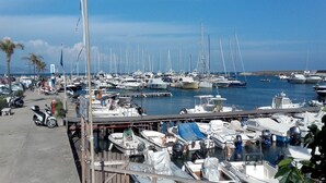 Een jachthaven met talloze boten afgemeerd, een voetpad en palmbomen.