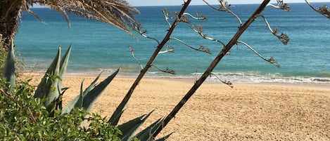 Playa