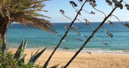 Kaunis huoneisto: aurinko, ranta, rauhallisuus ja paljon muuta (APera)