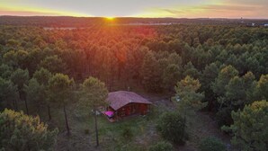 Uma cabana numa floresta com vista desimpedida do pôr do sol.