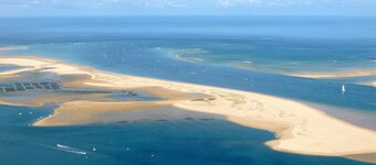 MAGNIFICENT WOODEN VILLA IN THE HEART OF THE PYLA FOREST 10 Min from the Beach