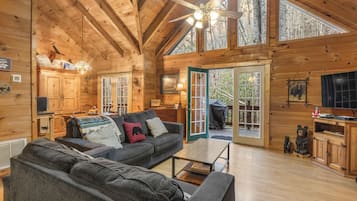 Smart TV, chimenea, reproductor de DVD y videoteca