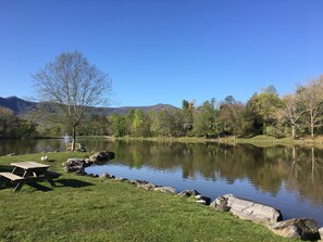 Property grounds - Peaceful Black Mountain Getaway Suite 20 Miles From Asheville (Black Mountain)