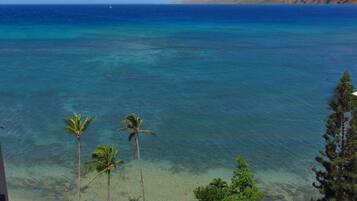 En la playa y camastros