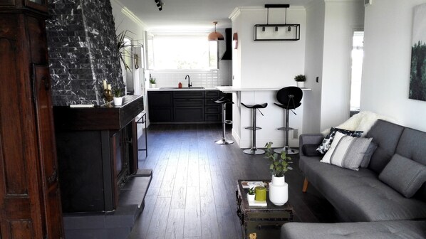 Télévision, cheminée, jeux vidéo, livres