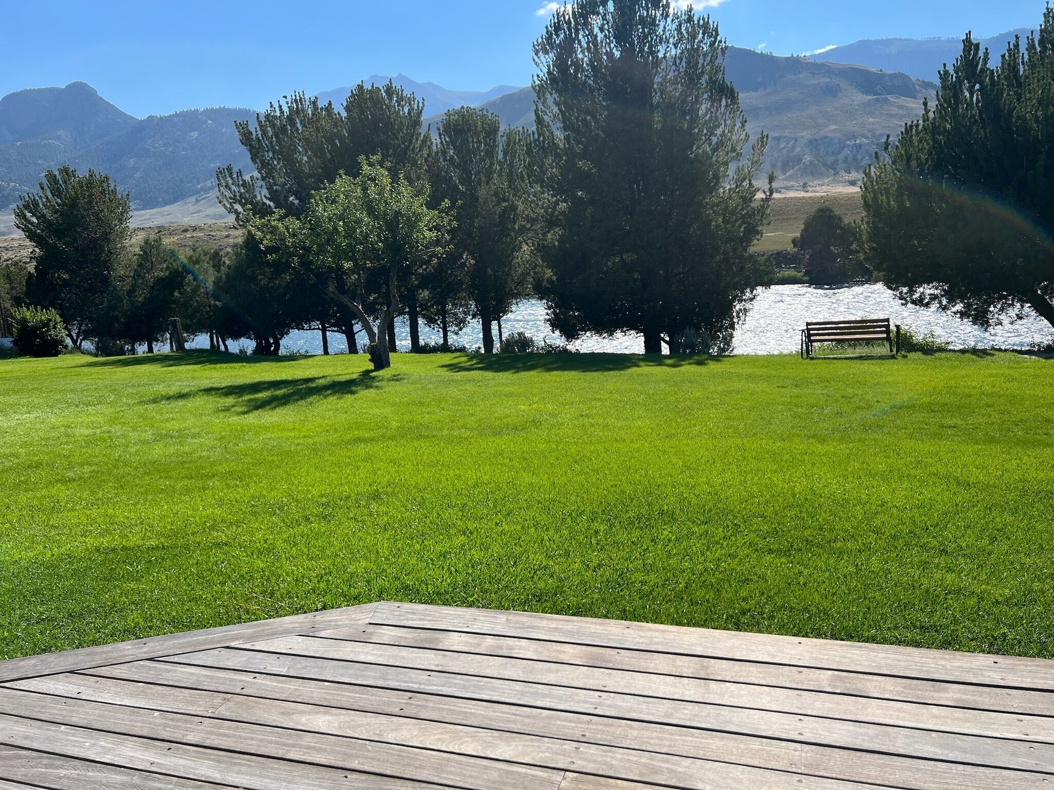 A grassy area with a wooden deck, trees, and a bench.