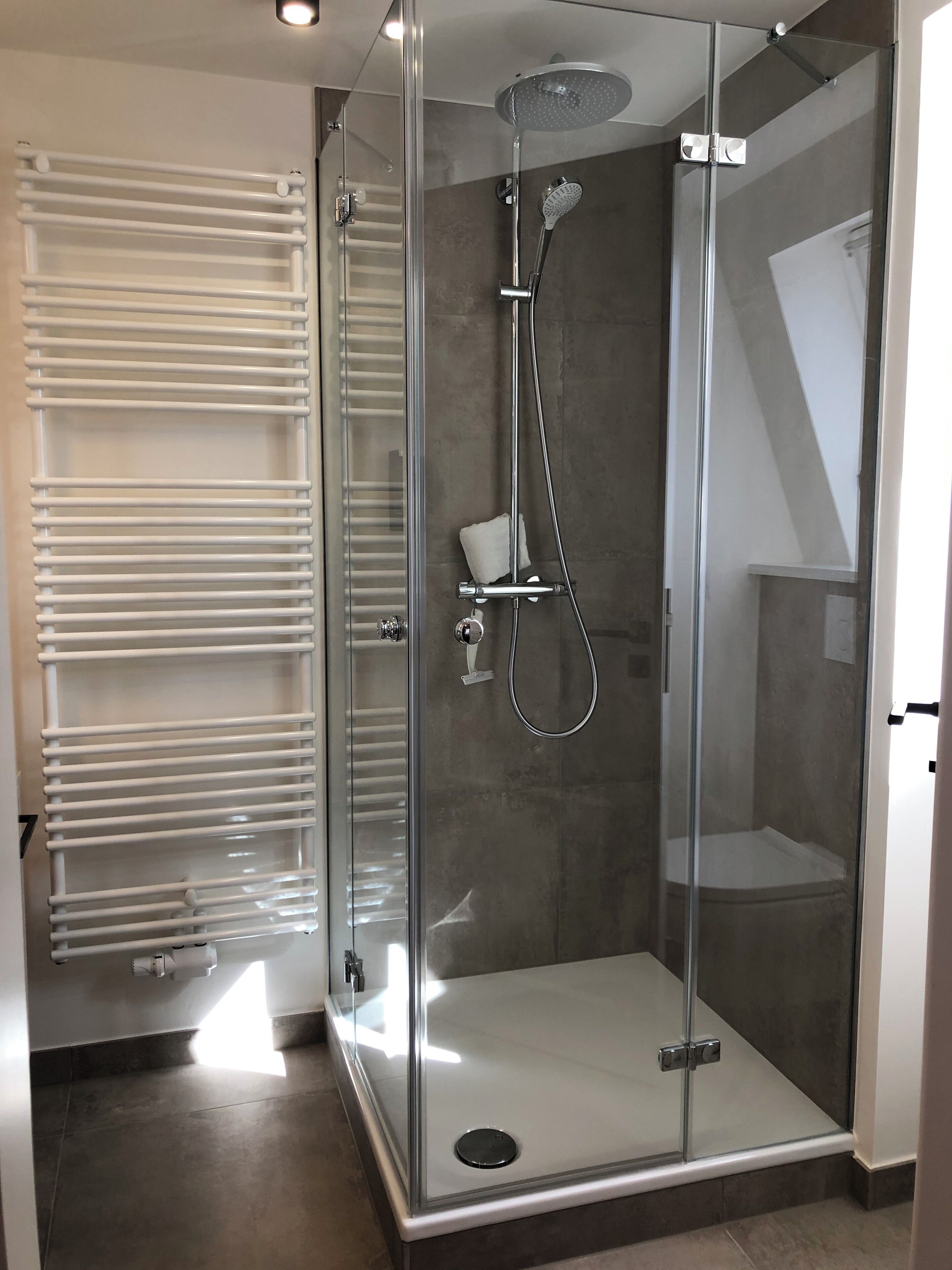 shower, free toiletries, towels