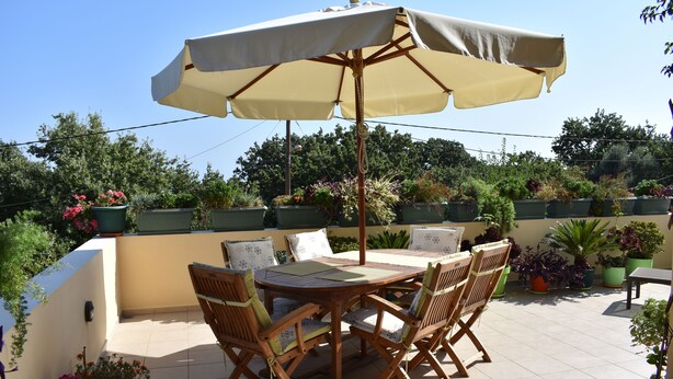 Une terrasse avec une table et des chaises, entourée de plantes en pot et d’un grand parasol.