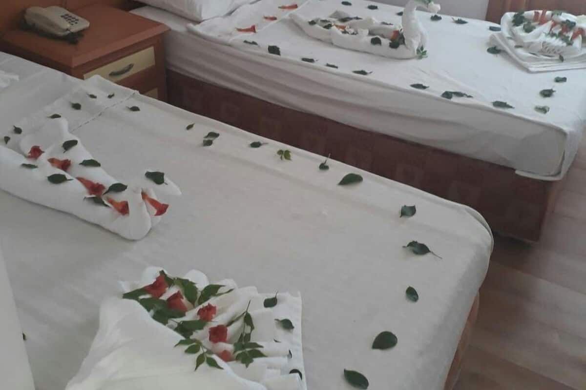 A hotel room with two single beds, each with a white bedspread and rose petals. There is a wooden headboard, a bedside table with a phone, and a window with curtains.