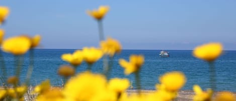 Plage à proximité