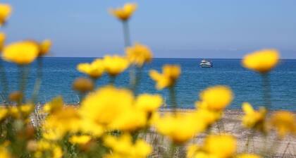 villa avec accÚs privé à la mer