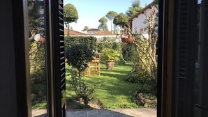 A view through a window into a garden with a patterned floor, a wooden bench, and various plants.