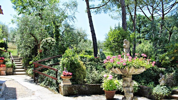 A stone staircase leading up to a wooden deck surrounded by lush greenery and potted plants.
