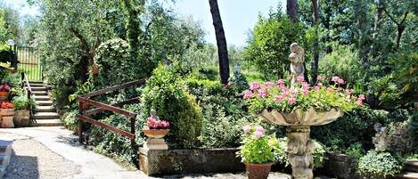 Áreas de la propiedad