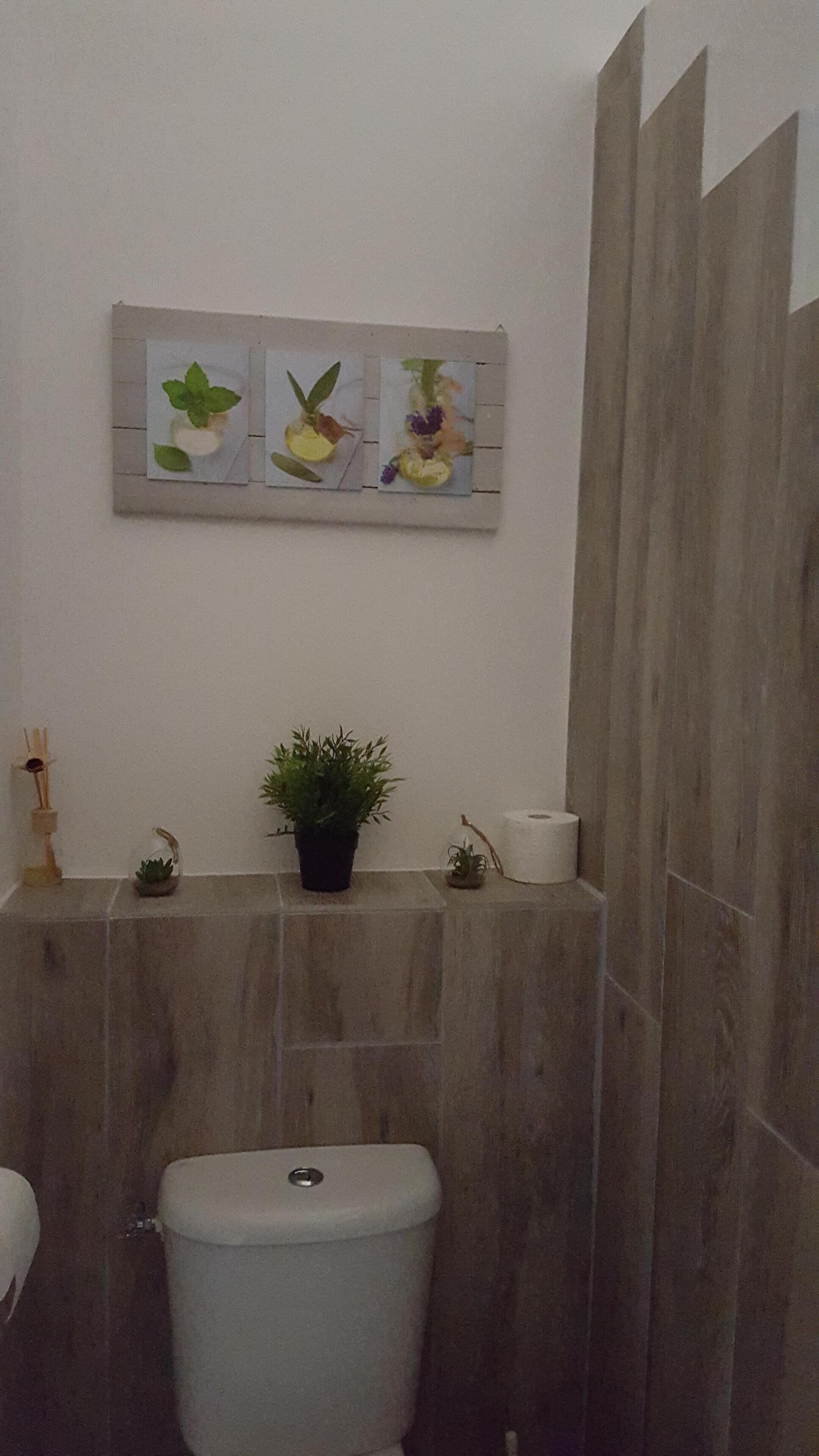 A bathroom with a toilet, a sink, and a shower area. There is a wall-mounted shelf with a potted plant and a roll of toilet paper.