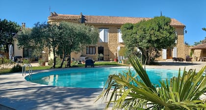 Provencal and authentic farmhouse with olive trees and a magnificent swimming pool