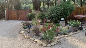 A garden with a variety of plants and a wooden fence.
