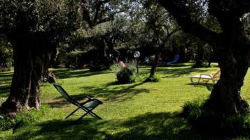 Parco della struttura