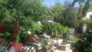 Un patio con plantas en macetas, suelo de piedra y una reja de metal.