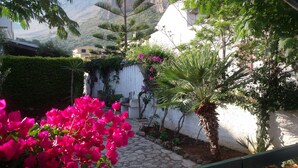Un jardín con un camino de piedra, una palmera y flores de buganvilla.