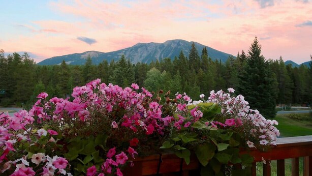 Un balcon avec vue sur une chaîne de montagnes et un jardin agrémenté de fleurs roses.
