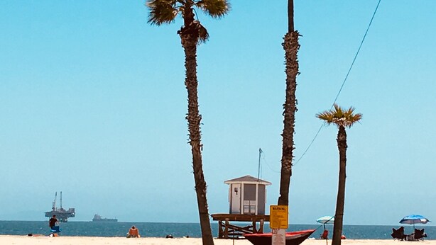 Une plage bordée de palmiers, une tour de surveillance et un siège de sauveteur.