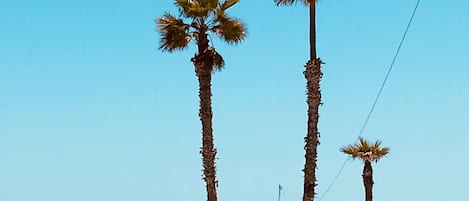 Beach nearby, sun loungers, beach towels