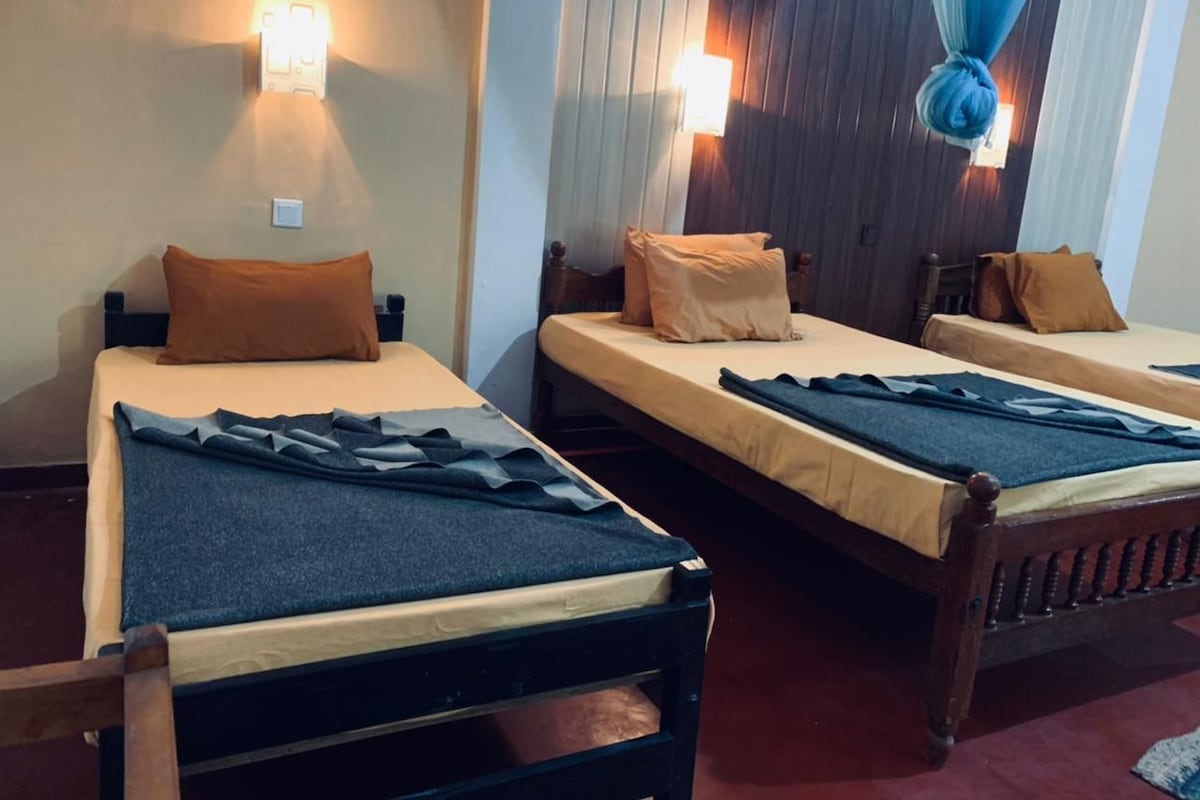 Two single beds with wooden frames and headboards, each with a mattress, pillows, and a blanket. There are wall-mounted lights on either side of the beds.