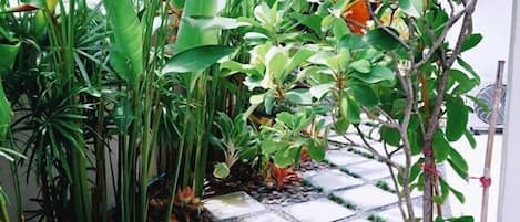 高级房 | 开放式门廊