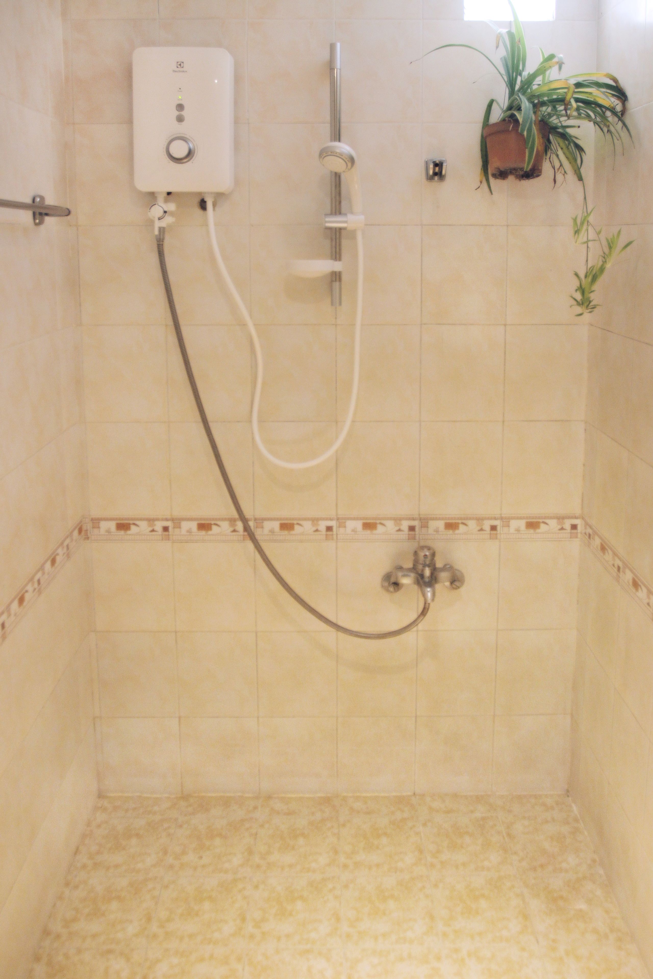 A shower with a handheld showerhead, a wall-mounted control panel, and a potted plant.