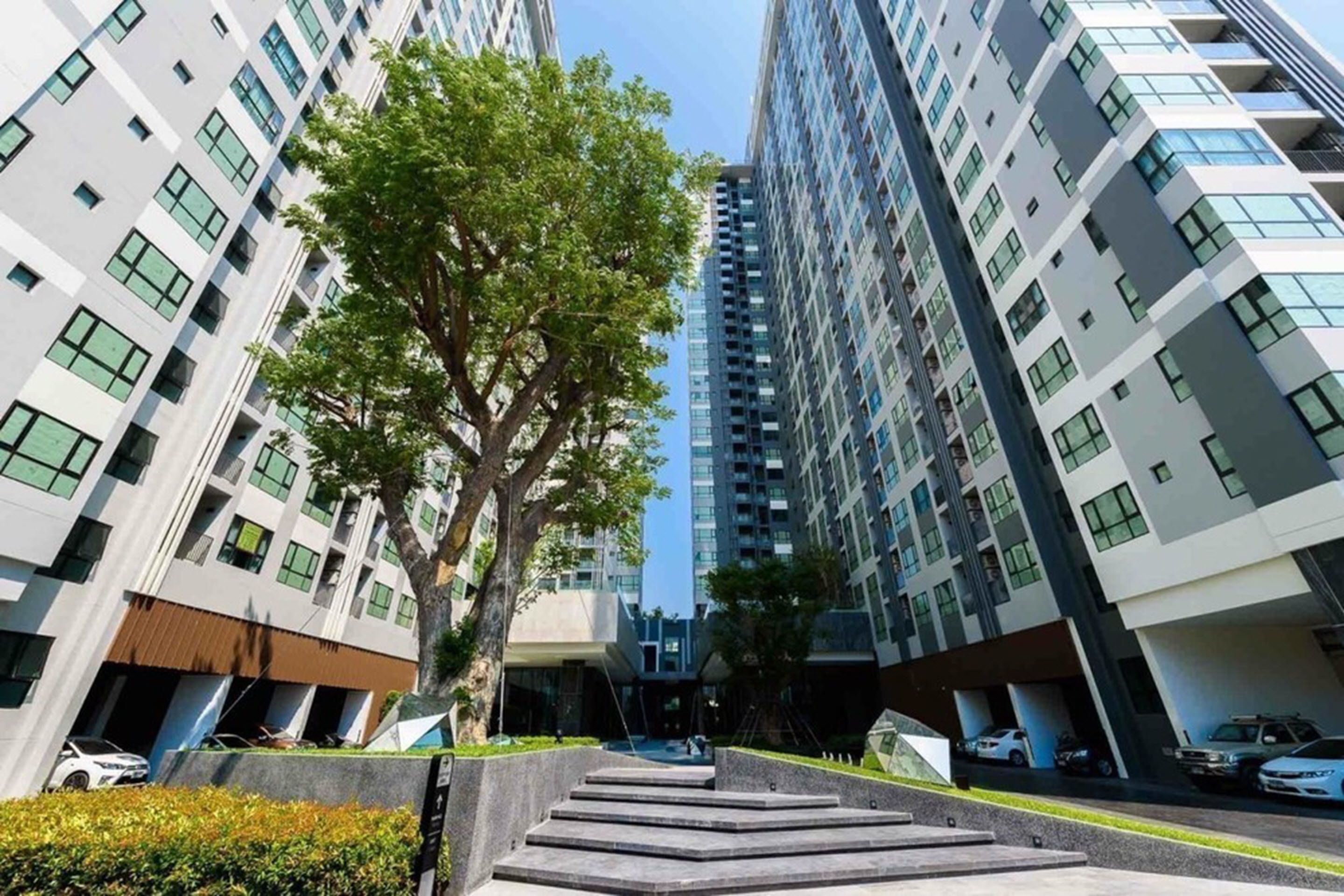 A modern high-rise building with a central tree and a staircase leading to an entrance.