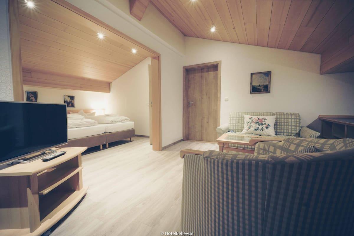 studio | living area | flat-screen tv