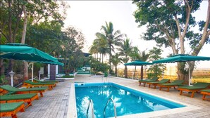 A swimming pool with lounge chairs and umbrellas, surrounded by trees. - The Herb Farm (Igatpuri)