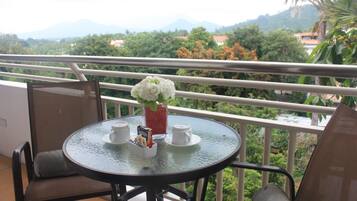 Executive Room | View from room