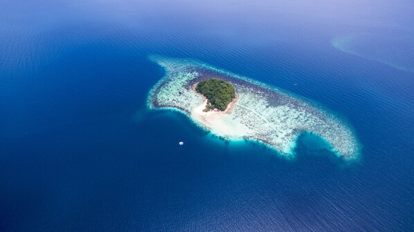 An aerial view of a small island with a sandy beach and dense vegetation. - Bamboo Private Islands (Culion Island)