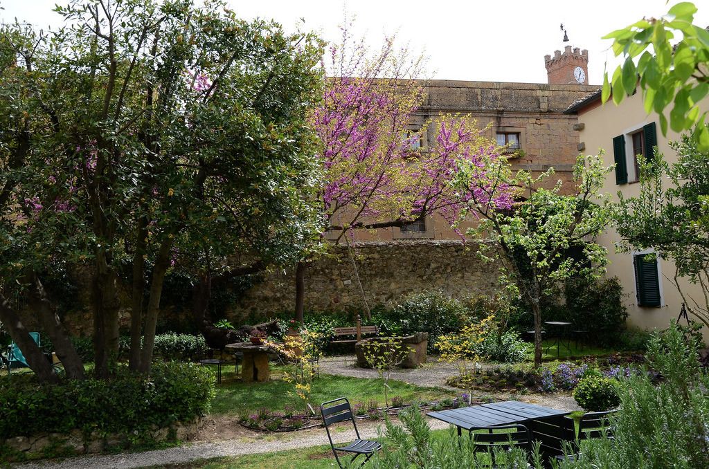 A courtyard with a stone building, a tree with purple flowers, and outdoor seating.