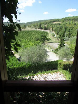 Háromágyas szoba | Kilátás a szobából