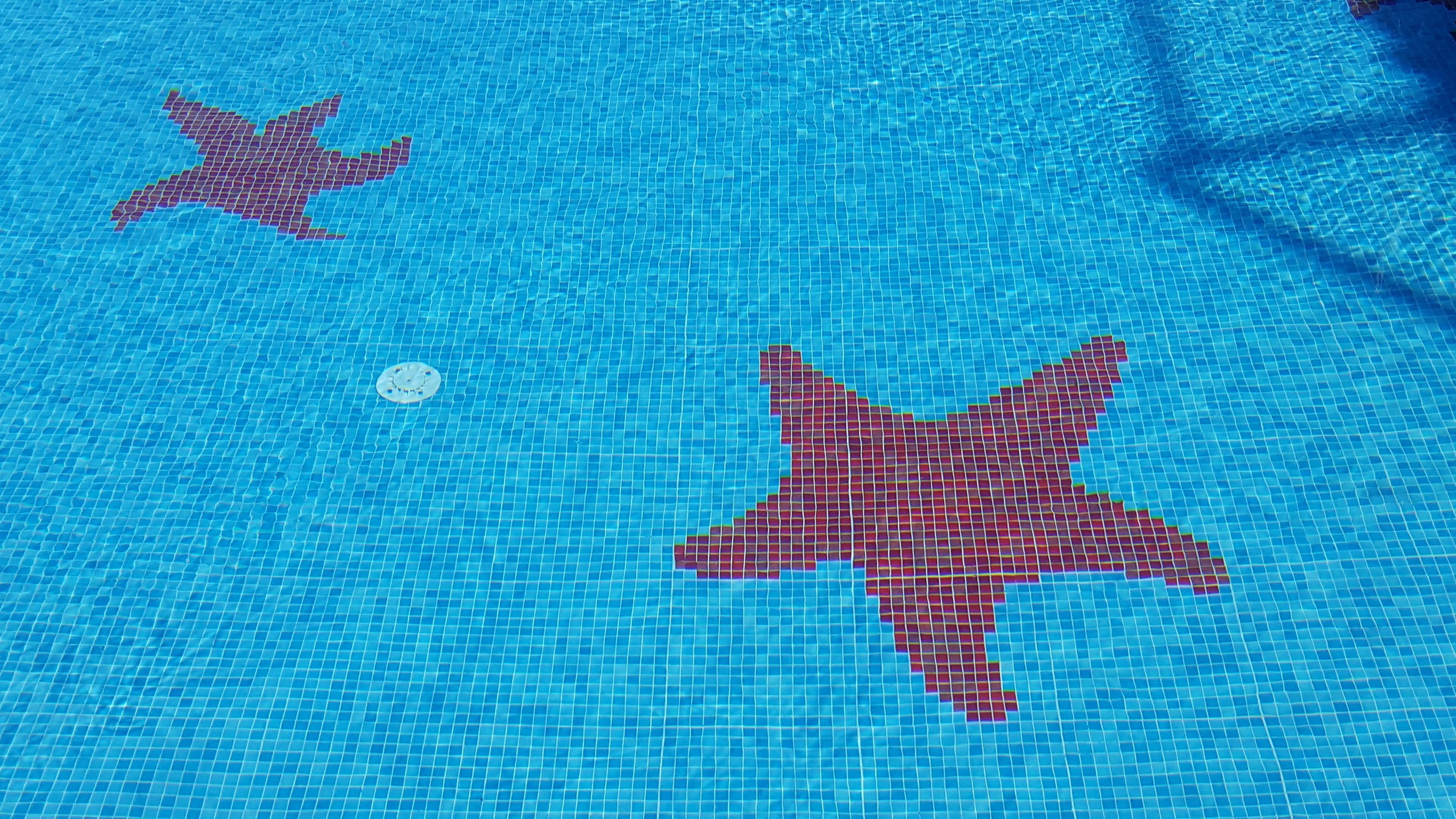 A swimming pool with a starfish mosaic design.