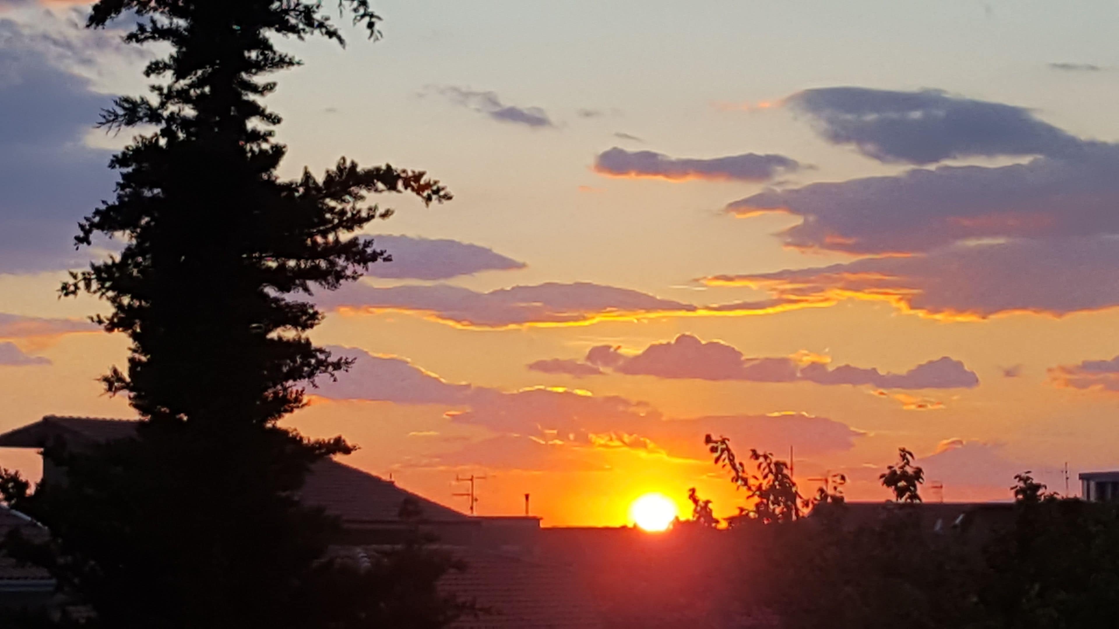 A sunset with the sun low on the horizon, silhouetted trees, and a clear sky.