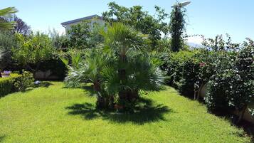 A well-maintained garden with various plants and a lawn, a building in the background, and a clear sky.