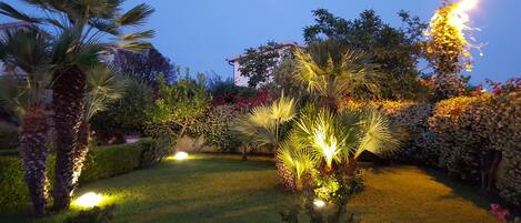 Un jardín bien iluminado con diversas plantas y árboles, incluyendo palmeras y arbustos florecientes.