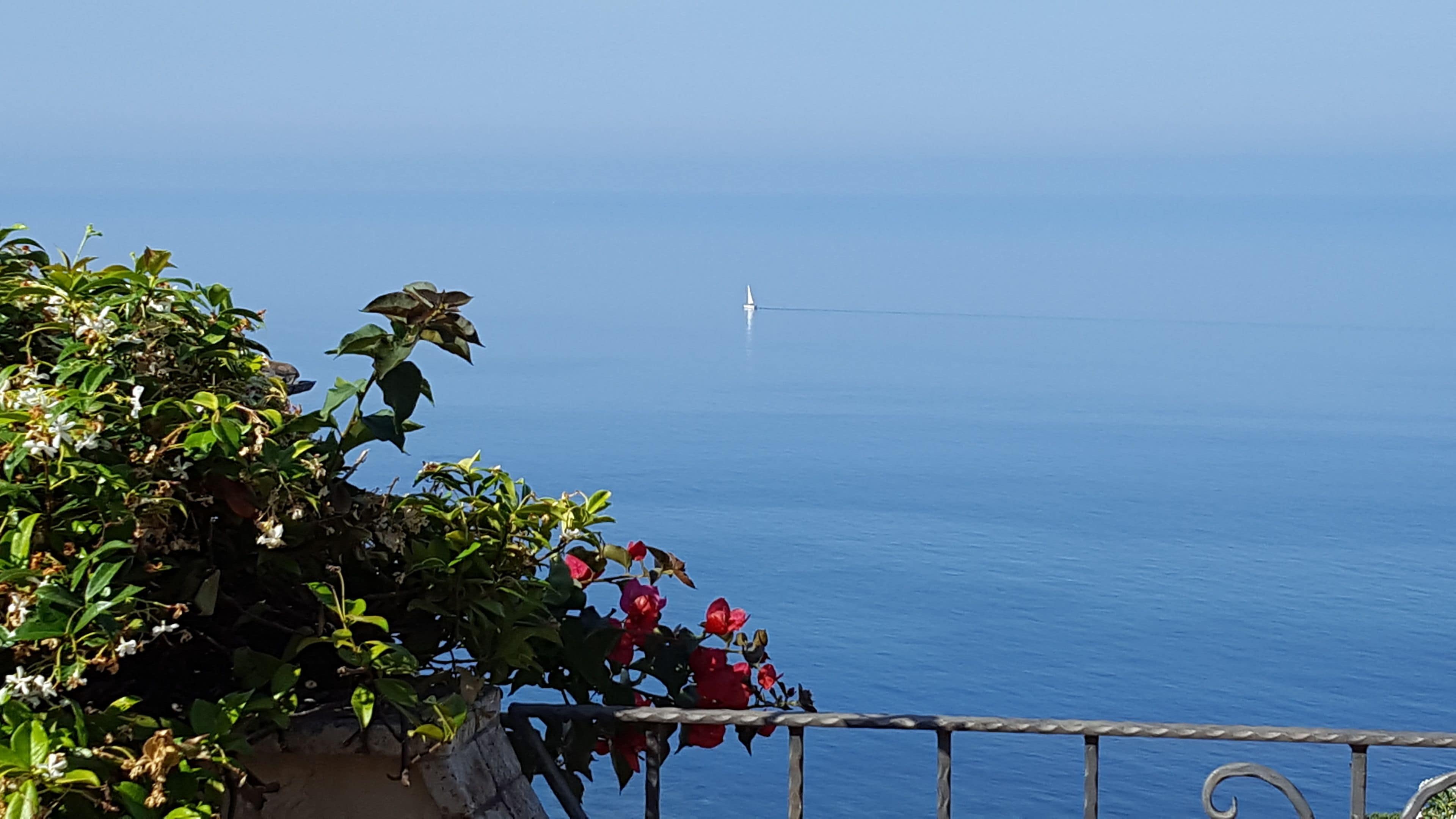 A coastal view with a clear sky, a railing, and a distant buoy.